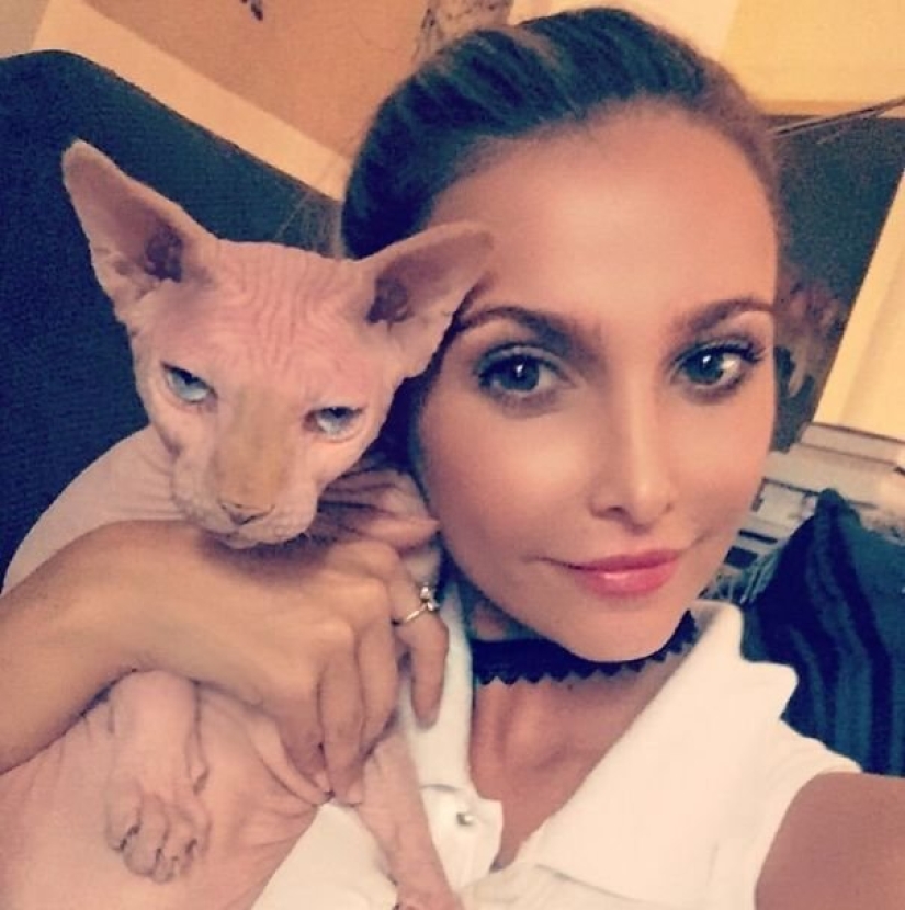 15 cats who hate selfies with people 15 cats who hate selfies with people