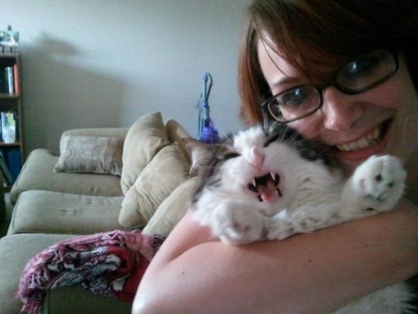 15 cats who hate selfies with people 15 cats who hate selfies with people