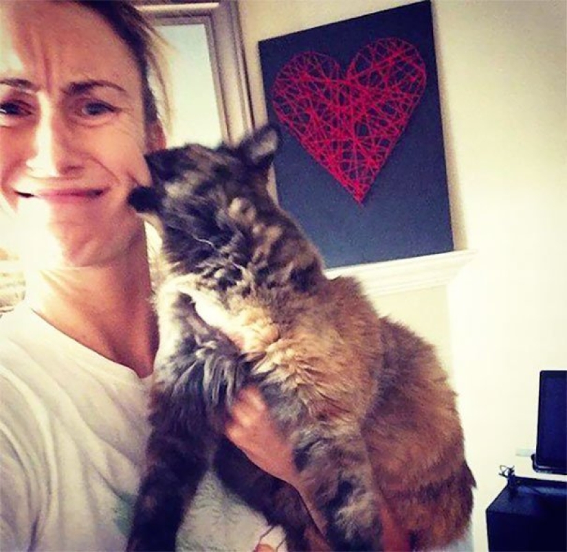 15 cats who hate selfies with people 15 cats who hate selfies with people