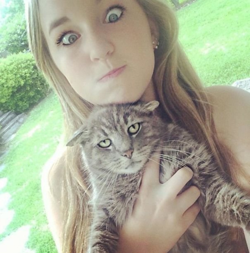 15 cats who hate selfies with people 15 cats who hate selfies with people