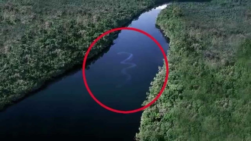 15 disparos, después de ver que se está en el agua o el pie