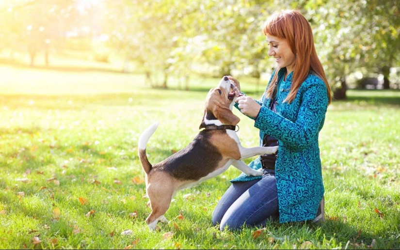 15 facts about the eyes that will amaze you