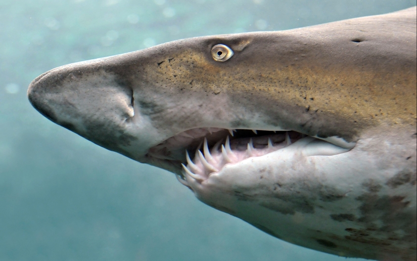 15 facts about the eyes that will amaze you