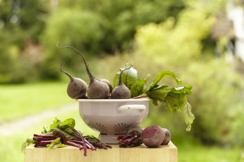 15 foods that you can eat even at night