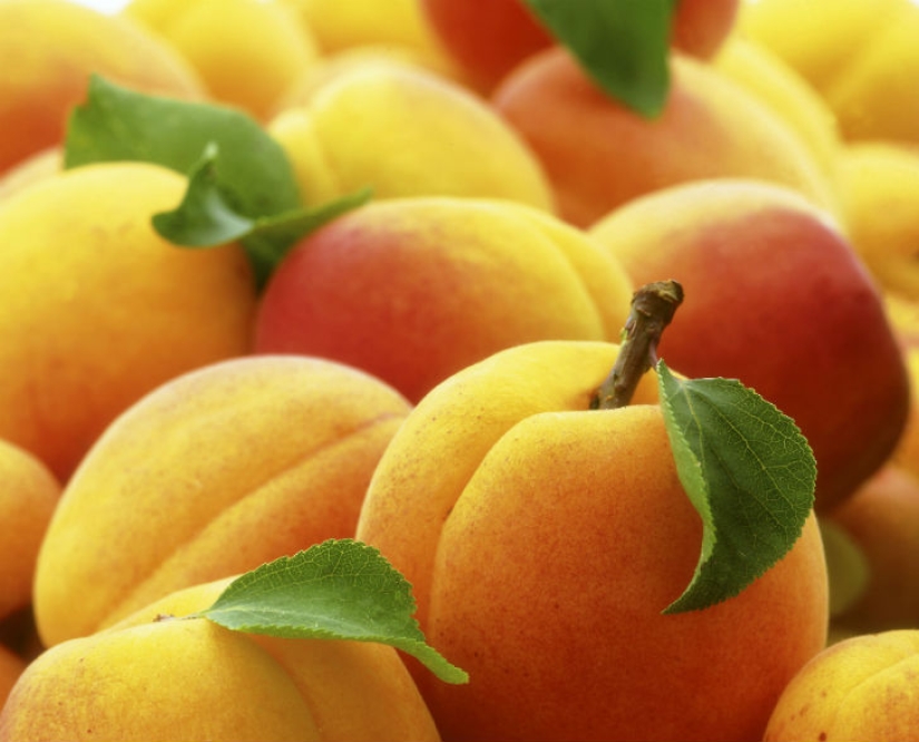 15 foods that you can eat even at night