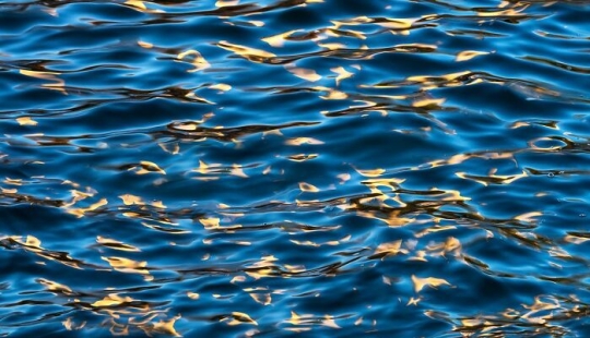 15 fotografías impresionantes que muestran los patrones y texturas de la naturaleza Por Michael Hindman 15 fotografías impresionantes que muestran los patrones y texturas de la naturaleza Por Michael Hindman