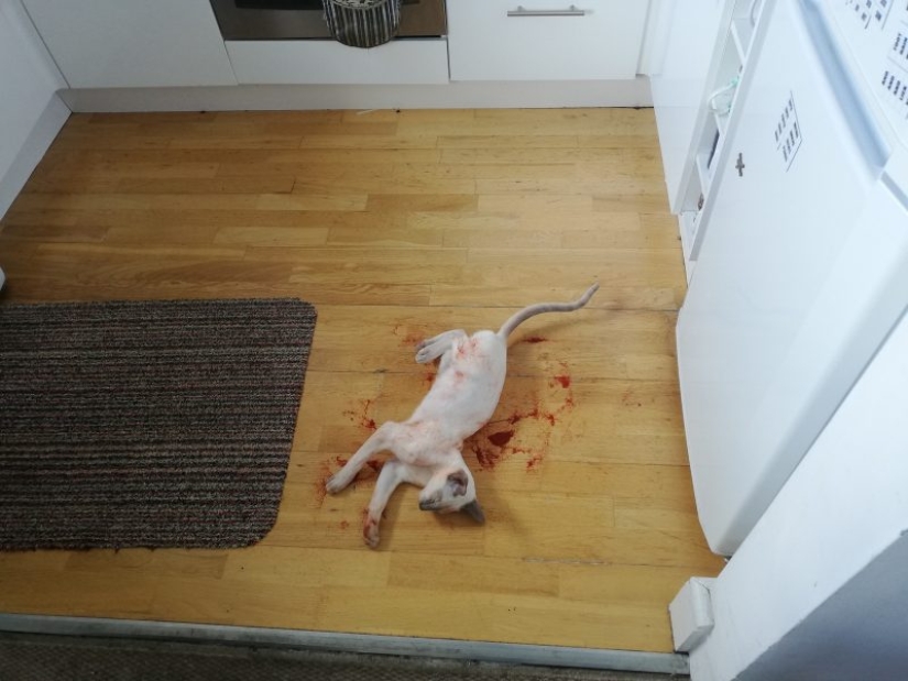 15 fotos de la serie "parecía", debido a que su corazón comienza a latir más rápido