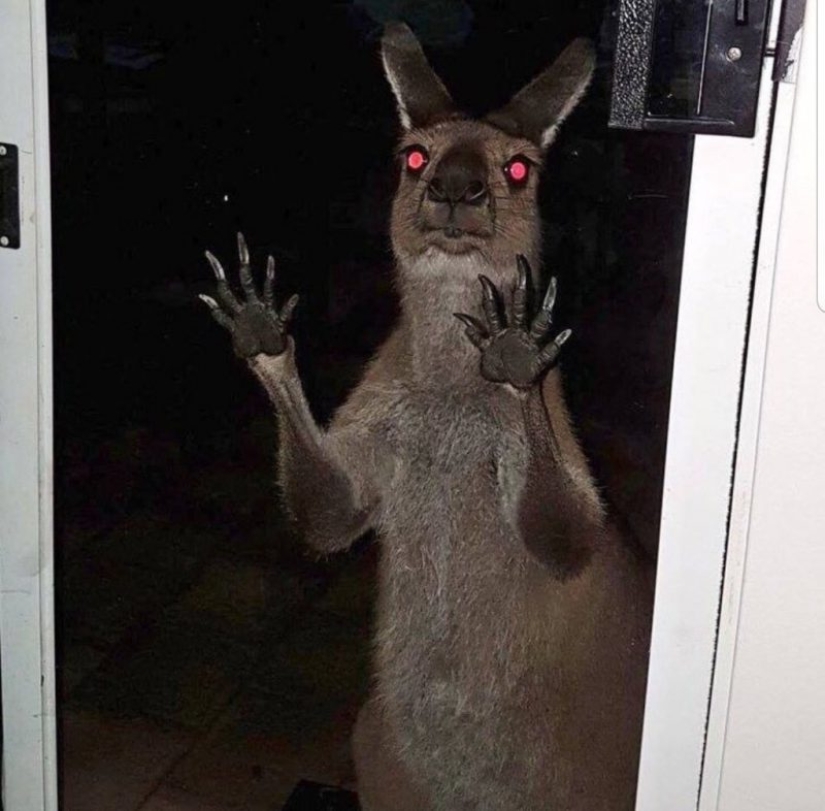 15 fotos de la serie "parecía", debido a que su corazón comienza a latir más rápido