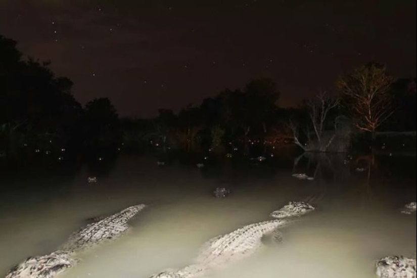 15 fotos de la serie "parecía", debido a que su corazón comienza a latir más rápido