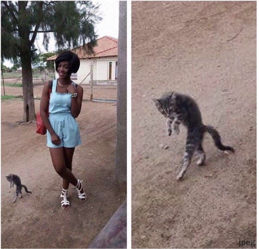 15+ fotos donde el fondo se soluciona todo