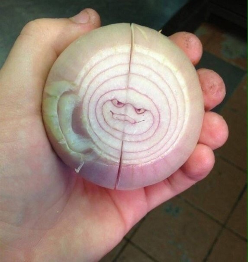 15 fotos que harán las delicias de su interior perfeccionista