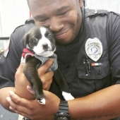 15 fotos que harán tu día un poco mejor