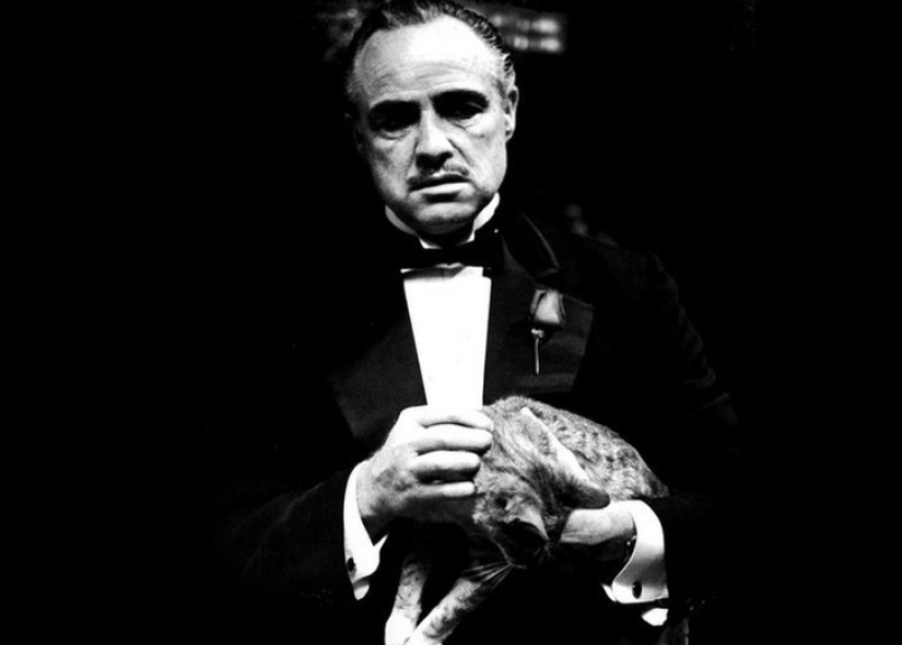 15 hechos poco conocidos sobre el drama criminal épico El Padrino