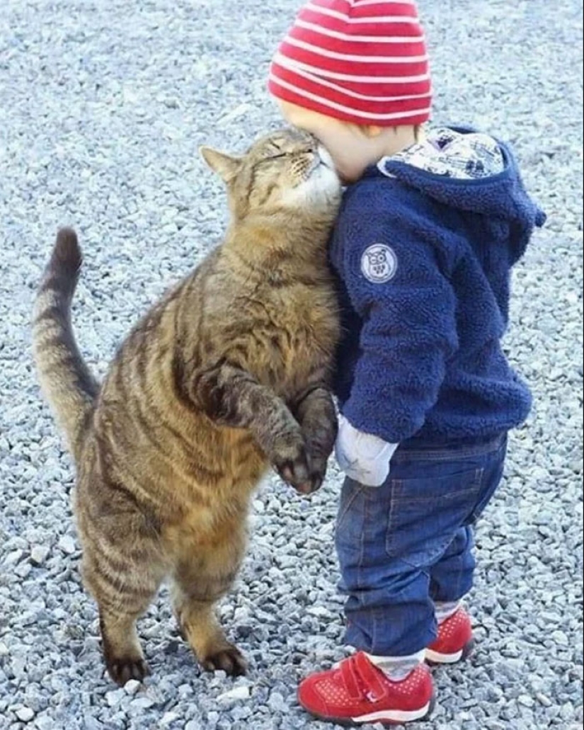 15 Hilariously Absurd Random Pics That Hit Like A Drunk Text At 3 AM 15 Hilariously Absurd Random Pics That Hit Like A Drunk Text At 3 AM