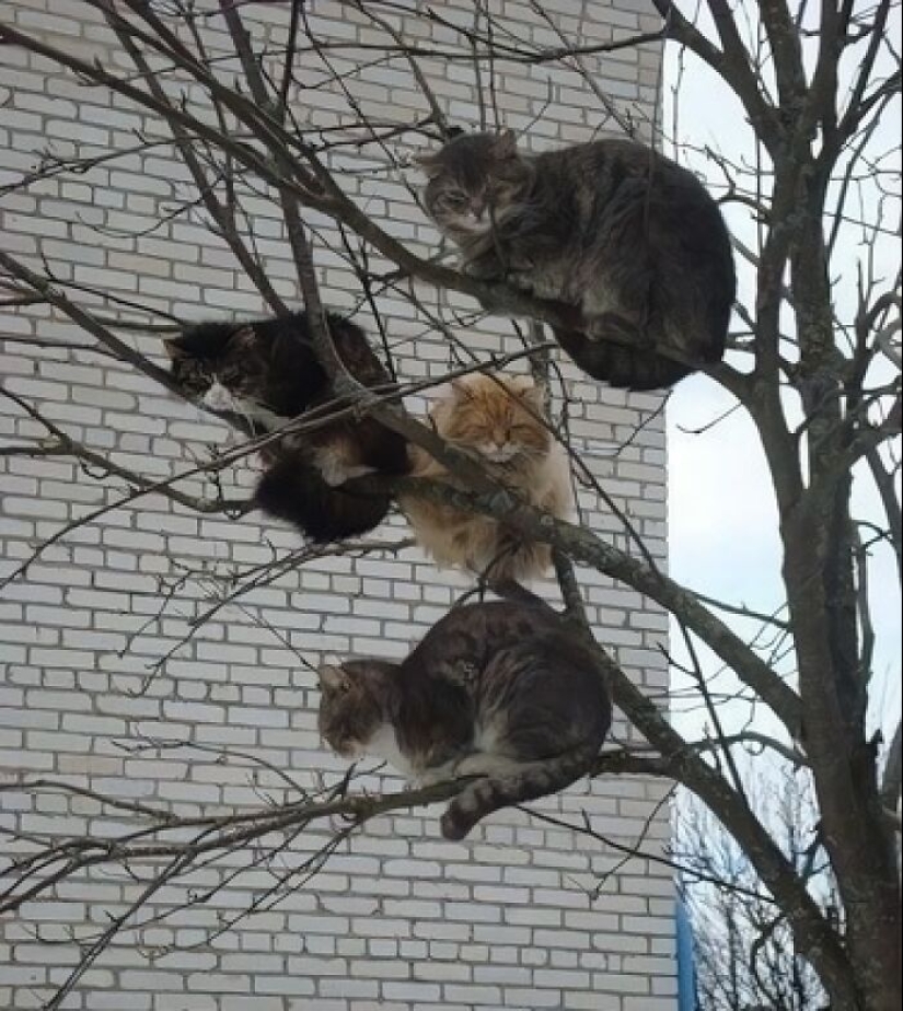 15 Hilariously Absurd Random Pics That Hit Like A Drunk Text At 3 AM 15 Hilariously Absurd Random Pics That Hit Like A Drunk Text At 3 AM