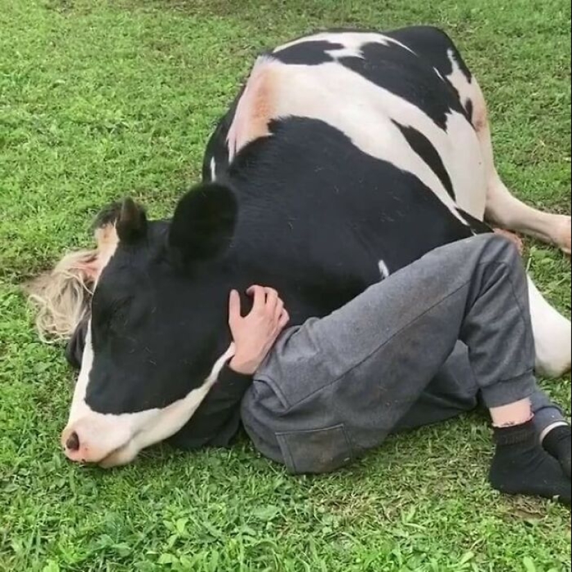 15 Hilariously Absurd Random Pics That Hit Like A Drunk Text At 3 AM 15 Hilariously Absurd Random Pics That Hit Like A Drunk Text At 3 AM