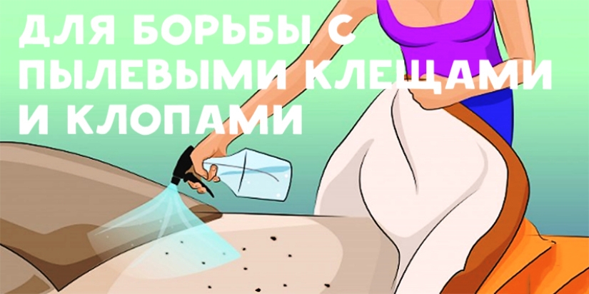 15 ideas brillantes para el uso del alcohol en la vida cotidiana 15 ideas brillantes para el uso del alcohol en la vida cotidiana