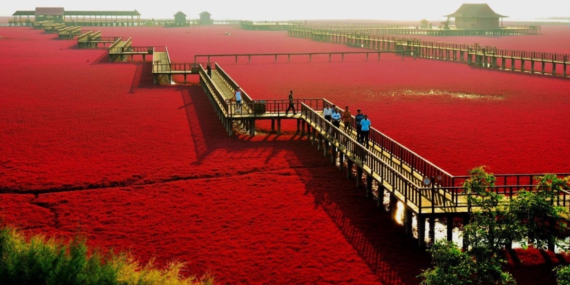 15 increíblemente hermosos lugares en la Tierra que están esperando por usted