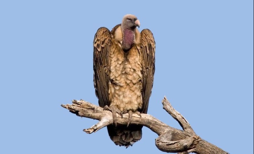 15 interesantes, pero miedo de los hechos acerca de la muerte que te va a sorprender 15 interesantes, pero miedo de los hechos acerca de la muerte que te va a sorprender