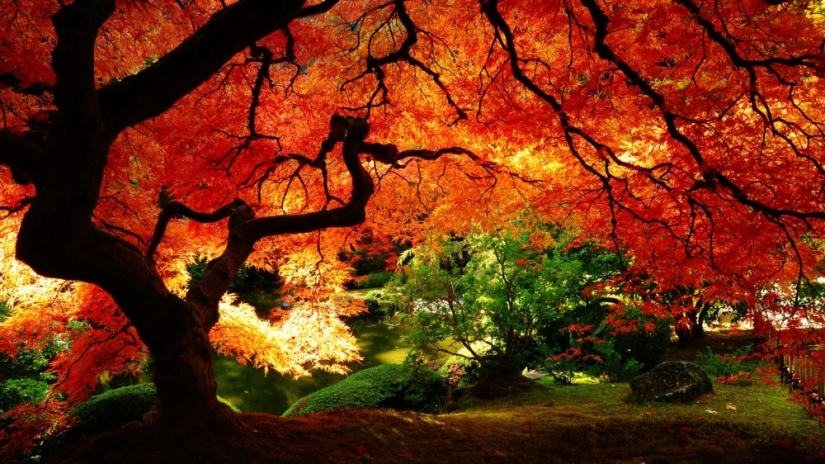 15 lugares donde el otoño es especialmente hermoso
