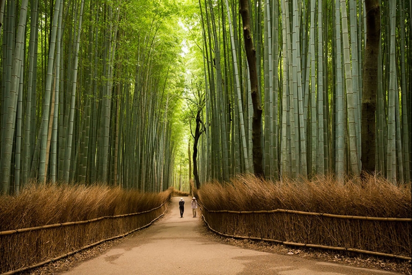 15 most beautiful places in Japan 15 most beautiful places in Japan