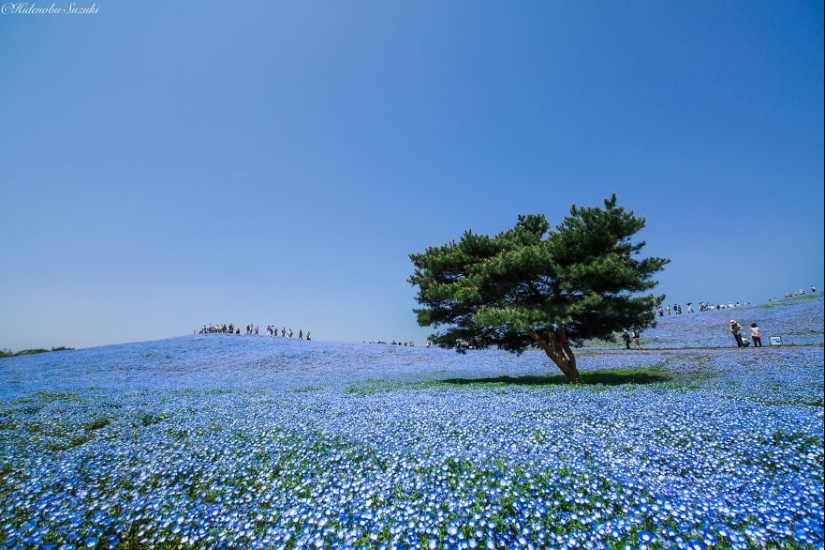 15 most beautiful places in Japan 15 most beautiful places in Japan