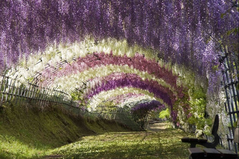 15 most beautiful places in Japan 15 most beautiful places in Japan
