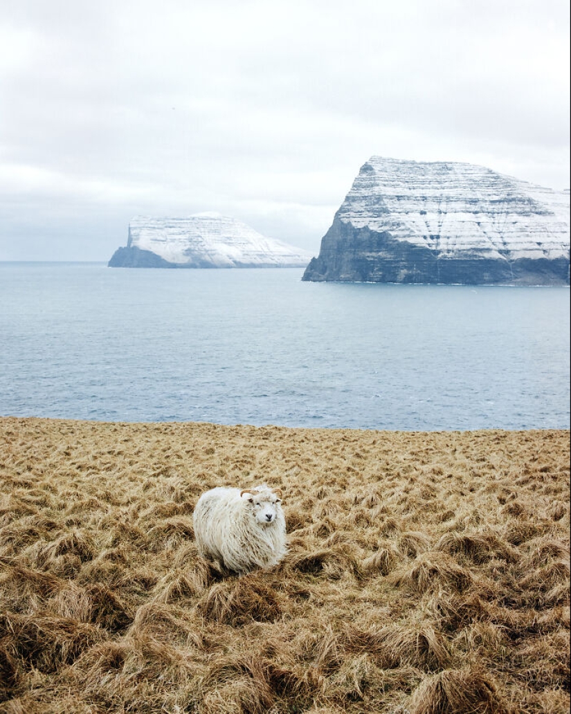 15 Most Stunning Photos From The 2024 IPA, Taken By Winners And Finalists From Around The World