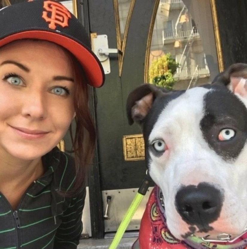 15 of the hosts that are so similar to their Pets 15 of the hosts that are so similar to their Pets