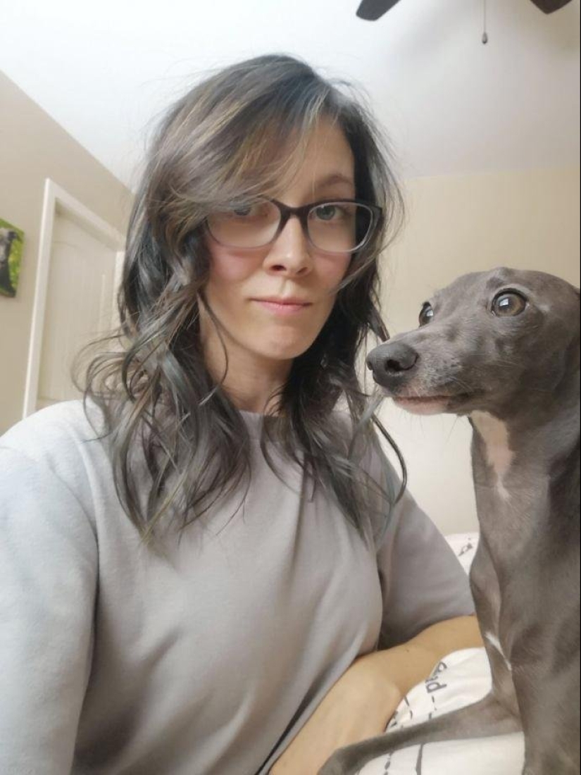 15 of the hosts that are so similar to their Pets 15 of the hosts that are so similar to their Pets