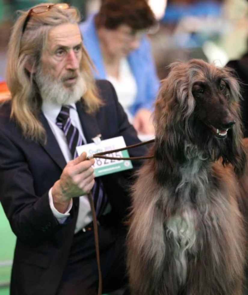 15 of the hosts that are so similar to their Pets 15 of the hosts that are so similar to their Pets