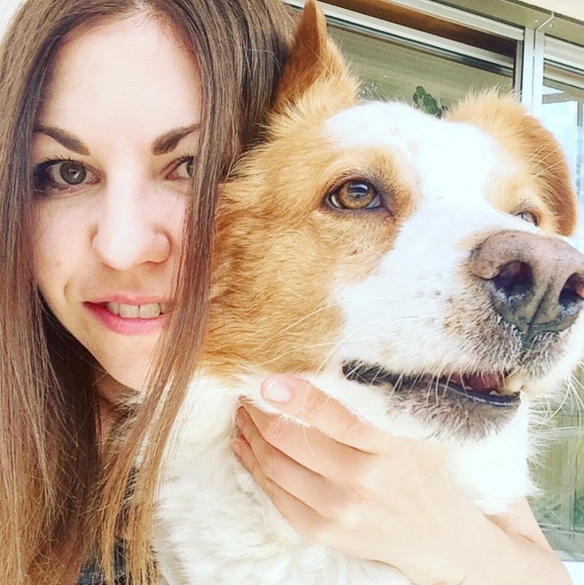 15 of the hosts that are so similar to their Pets 15 of the hosts that are so similar to their Pets