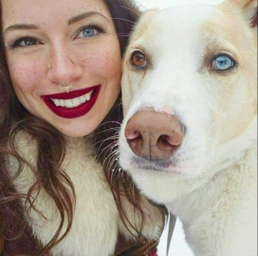 15 of the hosts that are so similar to their Pets 15 of the hosts that are so similar to their Pets