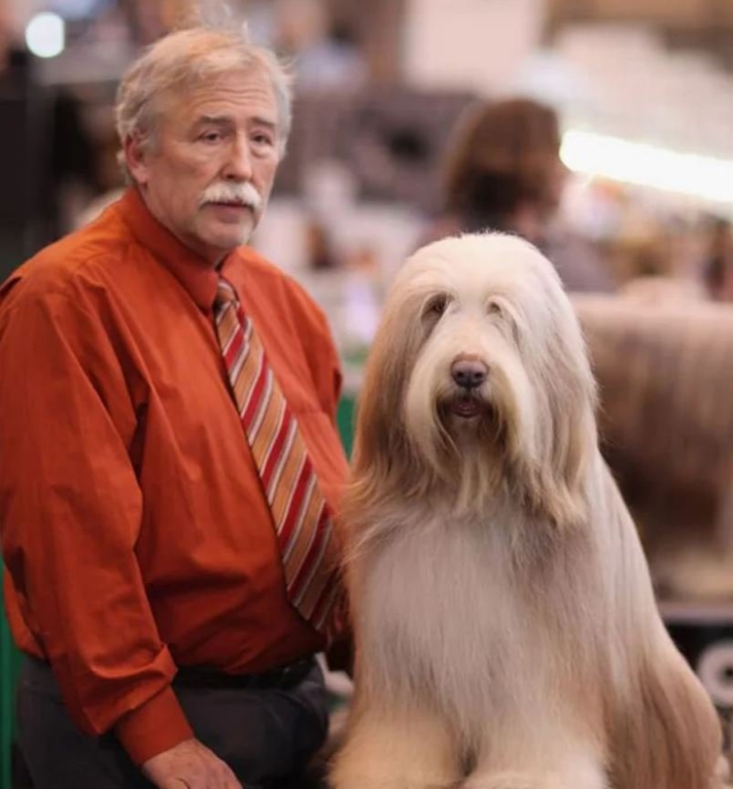 15 of the hosts that are so similar to their Pets 15 of the hosts that are so similar to their Pets