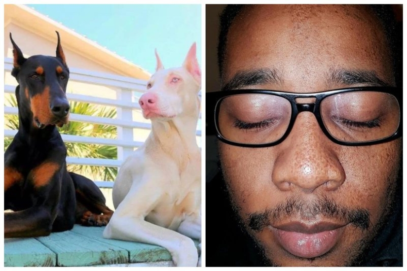 15 people and animals, who won the genetic lottery 15 people and animals, who won the genetic lottery