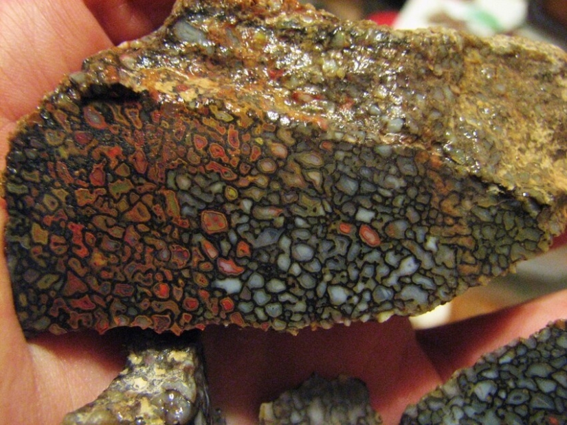 15 photos of extraordinary objects and phenomena