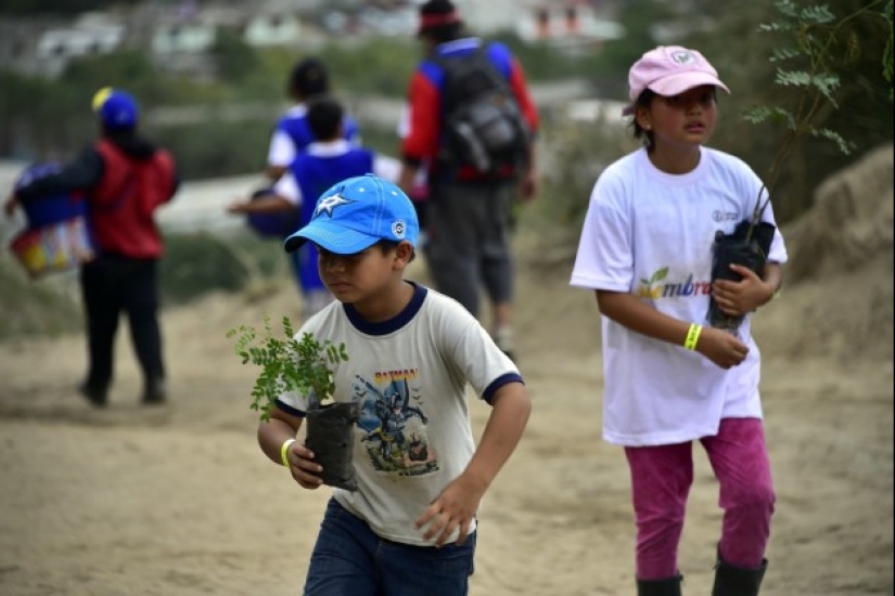 15 photos that will make your day a little better