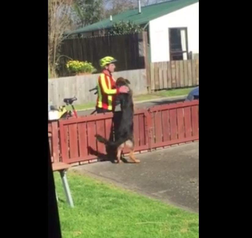 15 photos that will make your day a little better