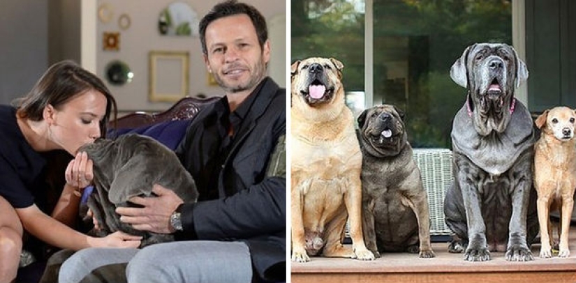 15 photos that will make your day a little better