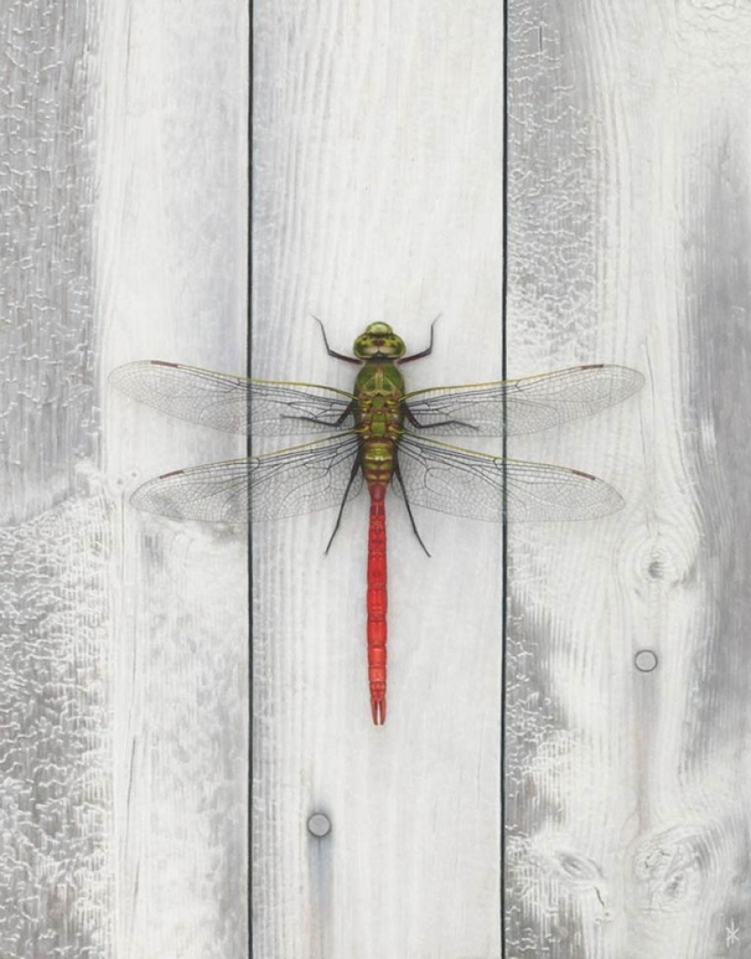 15 pinturas sorprendentemente realistas