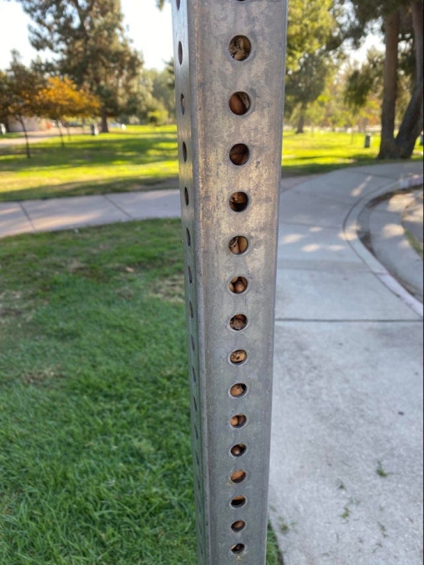 15 situaciones sorprendentes cuando la naturaleza irrumpió en la civilización y comenzó a dictar sus reglas 15 situaciones sorprendentes cuando la naturaleza irrumpió en la civilización y comenzó a dictar sus reglas