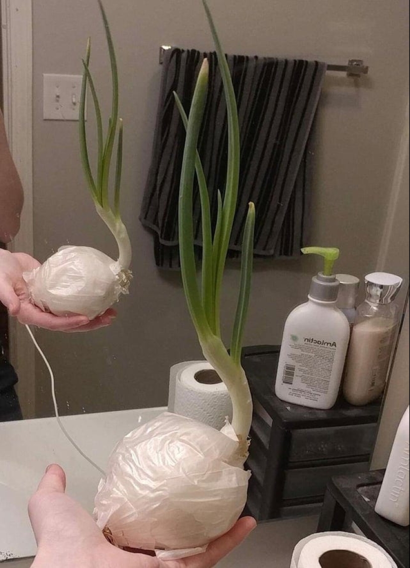 15 situaciones sorprendentes cuando la naturaleza irrumpió en la civilización y comenzó a dictar sus reglas 15 situaciones sorprendentes cuando la naturaleza irrumpió en la civilización y comenzó a dictar sus reglas