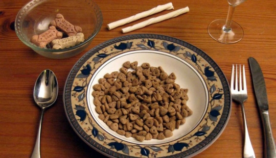 15 strange professions for which they pay very real money 15 strange professions for which they pay very real money