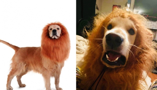 15 veces cuando la realidad ha destruido completamente todas las expectativas 15 veces cuando la realidad ha destruido completamente todas las expectativas