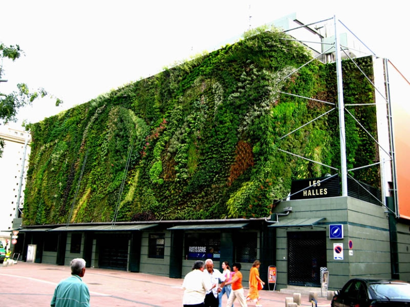 15 vertical gardens around the world 15 vertical gardens around the world