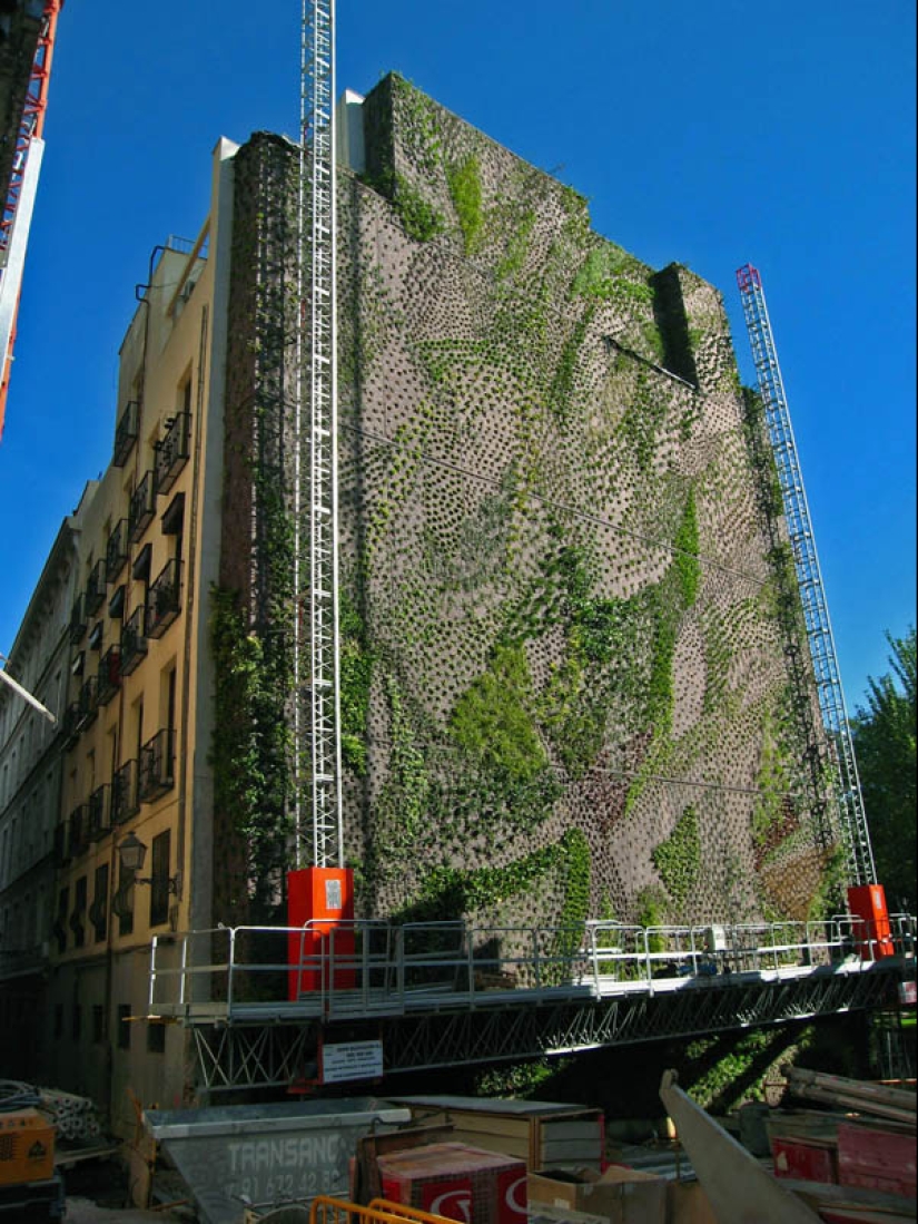 15 vertical gardens around the world 15 vertical gardens around the world