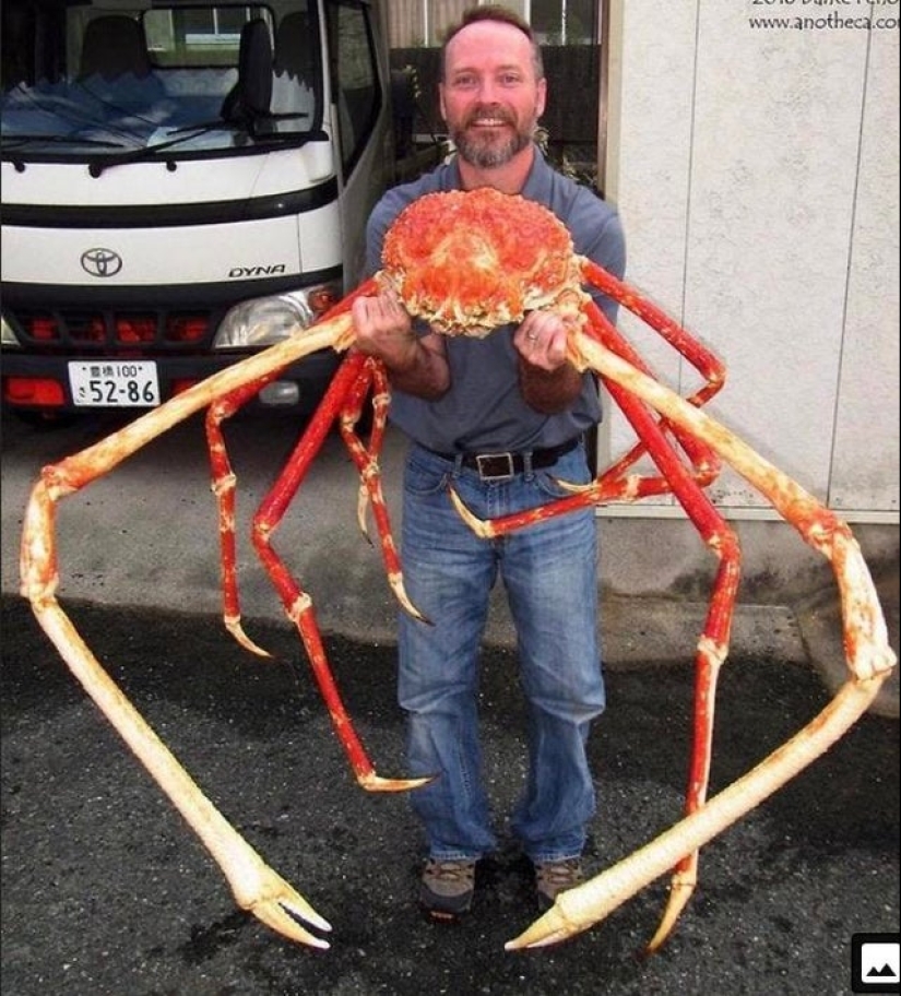 15 very strange and creepy photos of real things