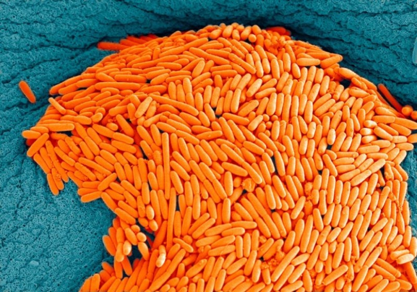 15 very strange and creepy photos of real things