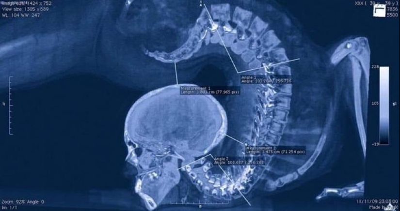 15 very strange and creepy photos of real things