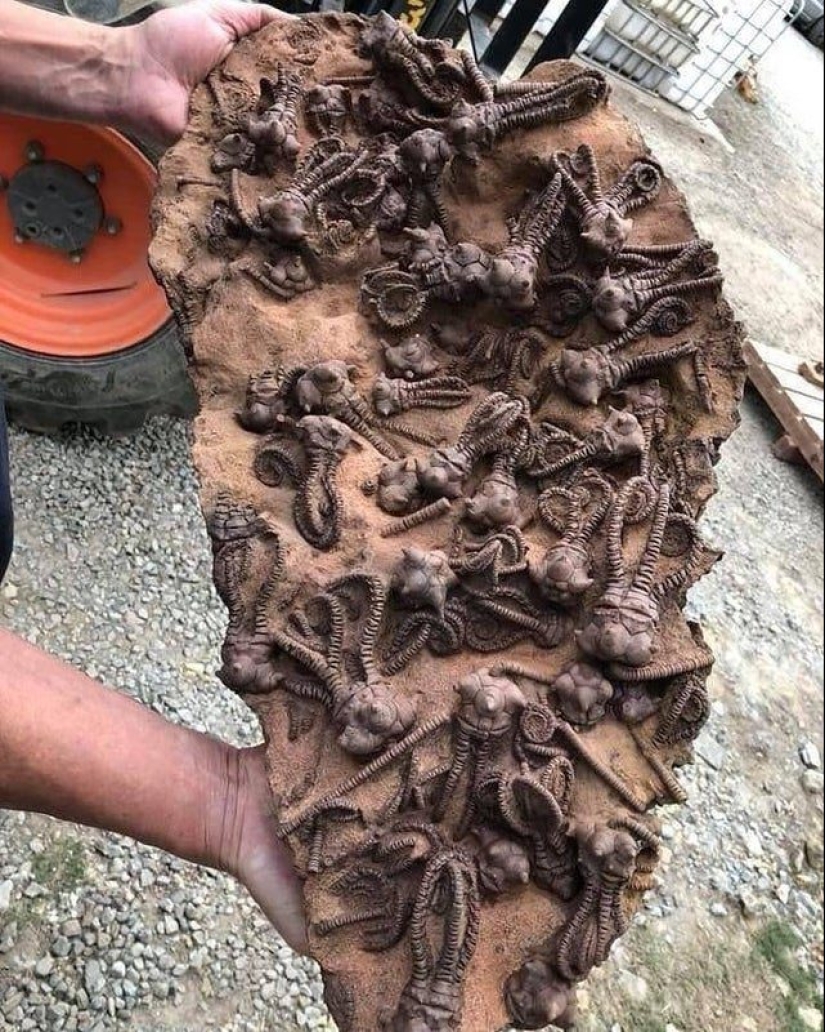 15 very strange and creepy photos of real things